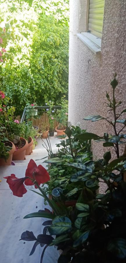 Aegina'S Flowers House Buitenkant foto