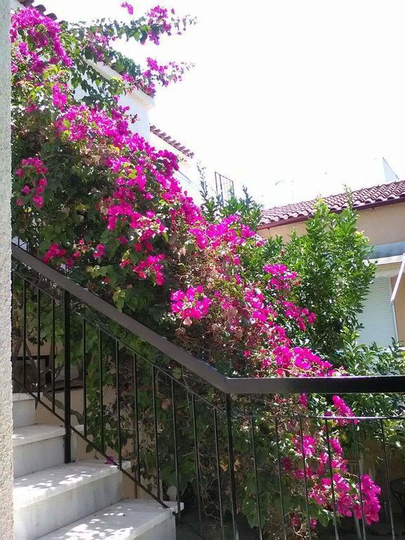 Aegina'S Flowers House Buitenkant foto