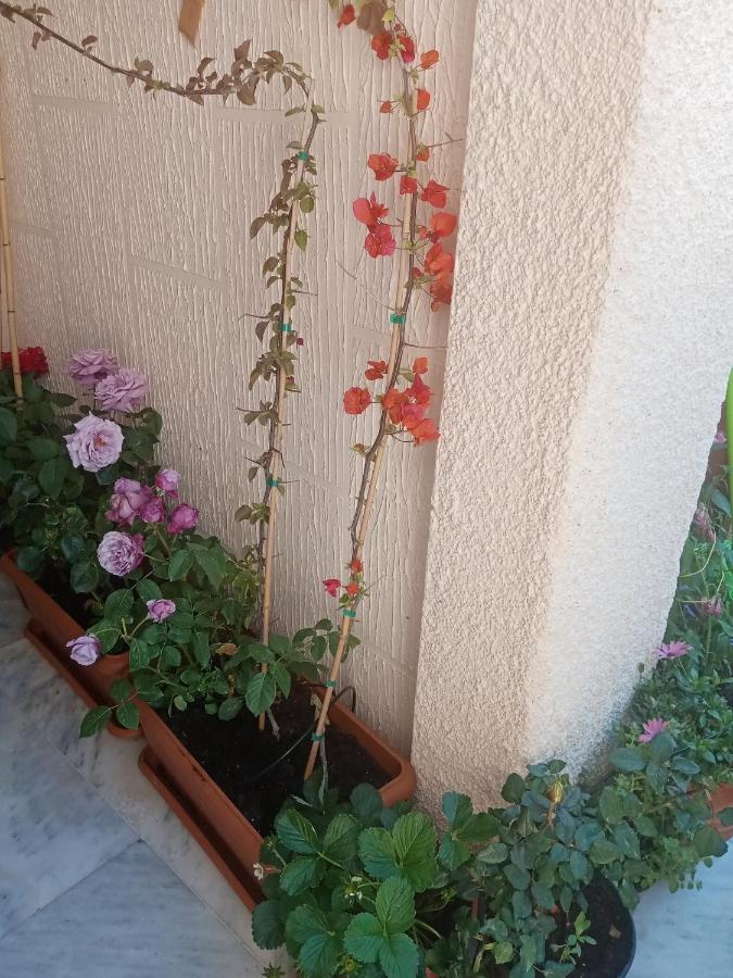 Aegina'S Flowers House Buitenkant foto